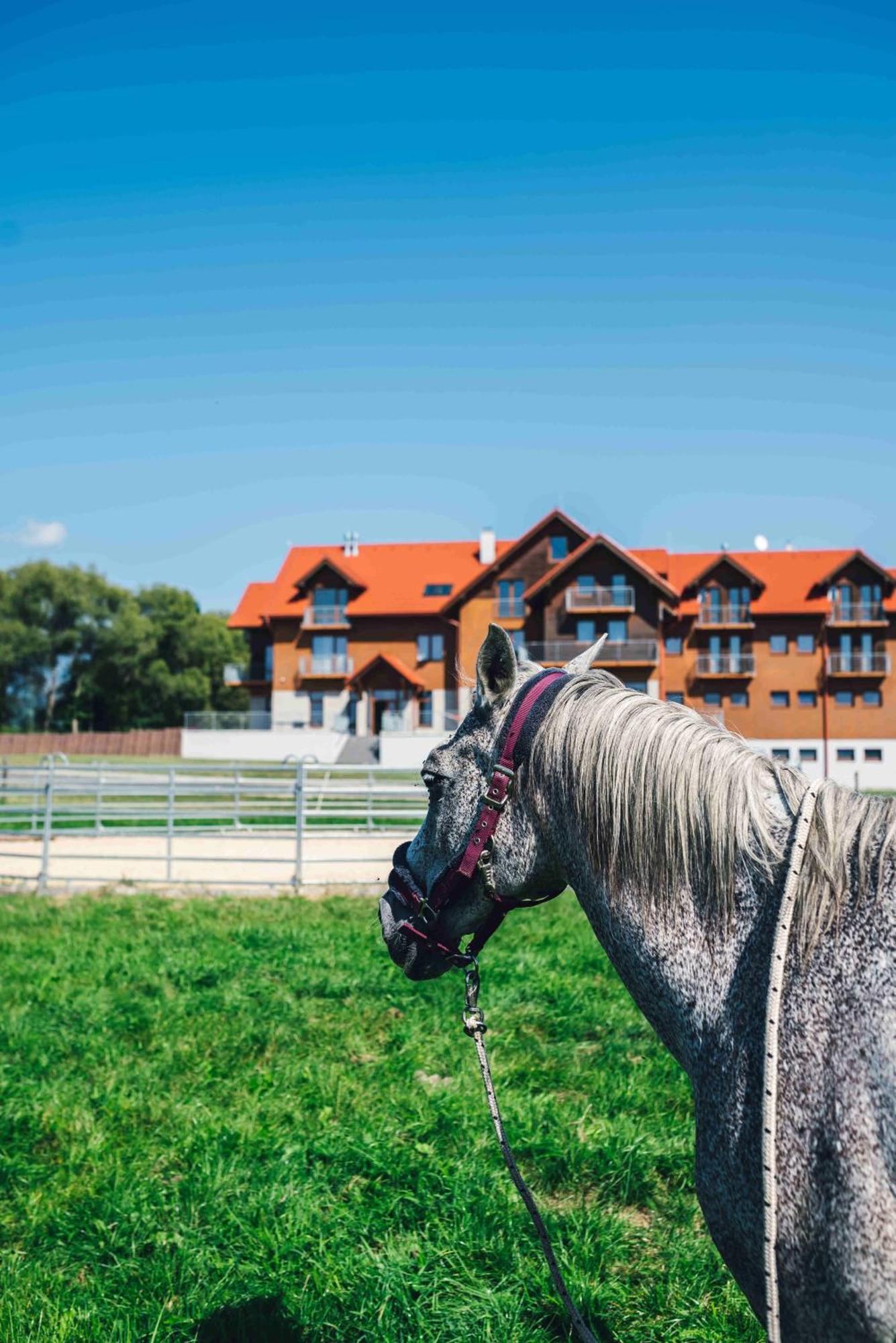 Penzion Kamence Liptovsky Mikulas Bagian luar foto